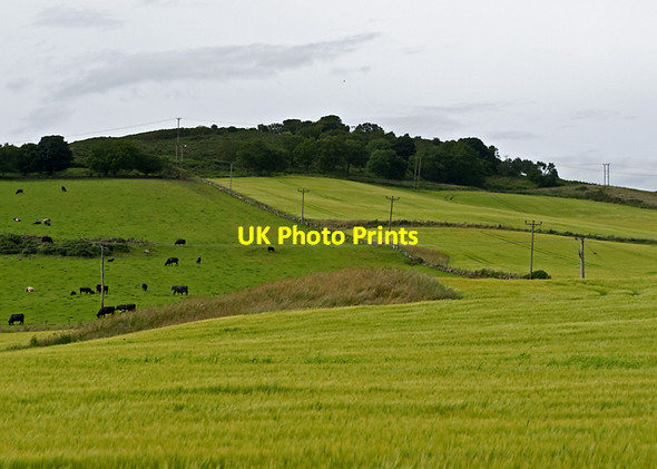 Photo 6"x4" Farmland near Easter Lumbennie Newburgh\/NO2318 c2012