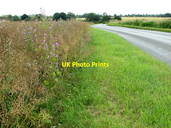 Photo 6"x4" B1115 road to Water Run High Street Green c2012