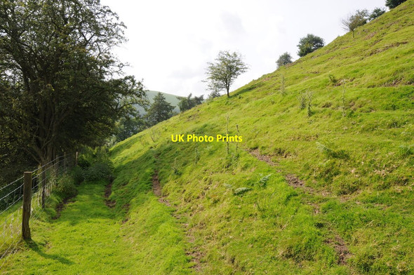 Photo 6"x4" Slopes of Fron Hill New Radnor c2012