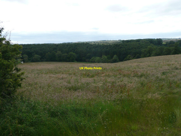 Photo 6"x4" Rough pasture above the River Coquet Eastfield Hall c2012