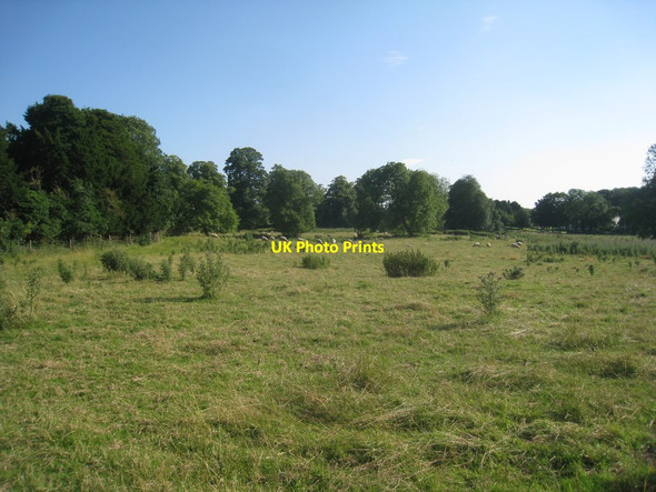 Photo 6"x4" Riby Park Riby c2012