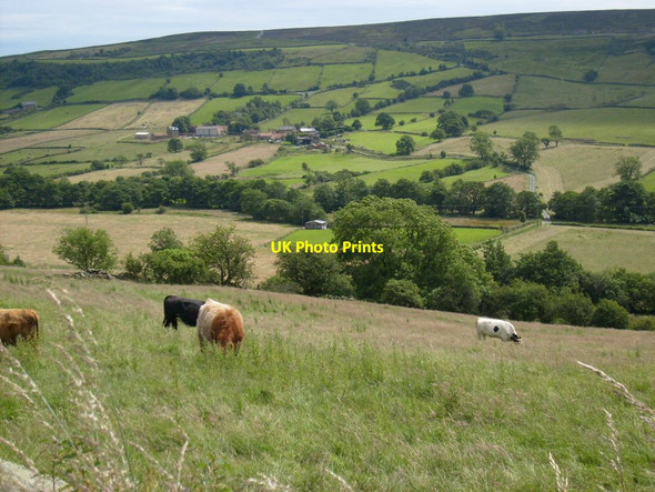 Photo 6"x4" View from Nuns Green Lane Street\/NZ7304 c2012