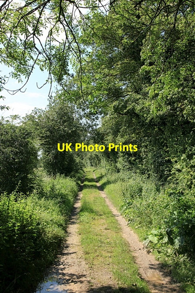 Photo 6"x4" Thorofare Lane (Track) to Knapwell Knapwell c2012