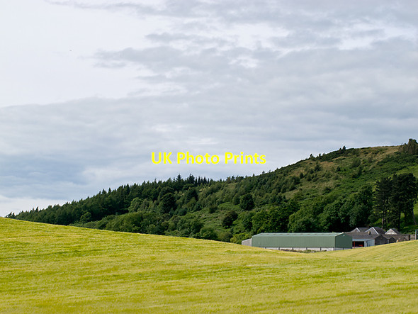 Photo 6"x4" Braeside of Lindores Newburgh\/NO2318 c2012
