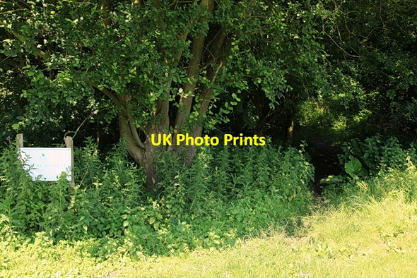 Photo 6"x4" Entrance to Overhall Grove Nature Reserve Knapwell c2012