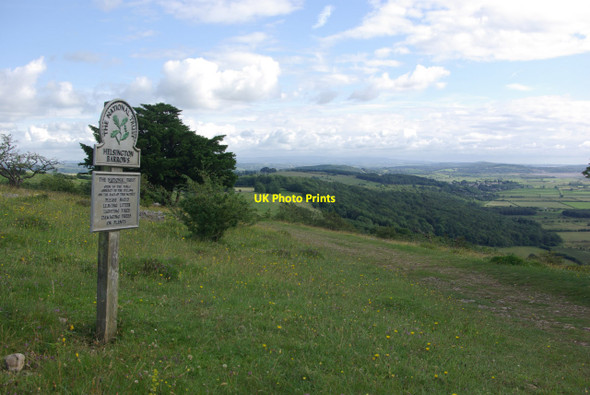 Photo 6"x4" Helsington Barrows Brigsteer c2012