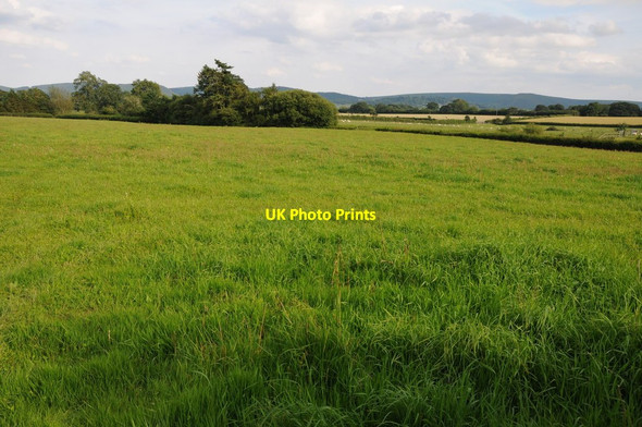 Photo 6"x4" Farmland near Kinnerton Kinnerton\/SO2463 c2012