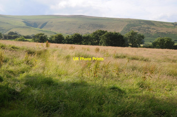 Photo 6"x4" Farmland near New Radnor Downton\/SO2360 c2012