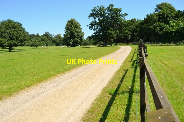 Photo 6"x4" Strumpshaw Estate Buckenham c2012
