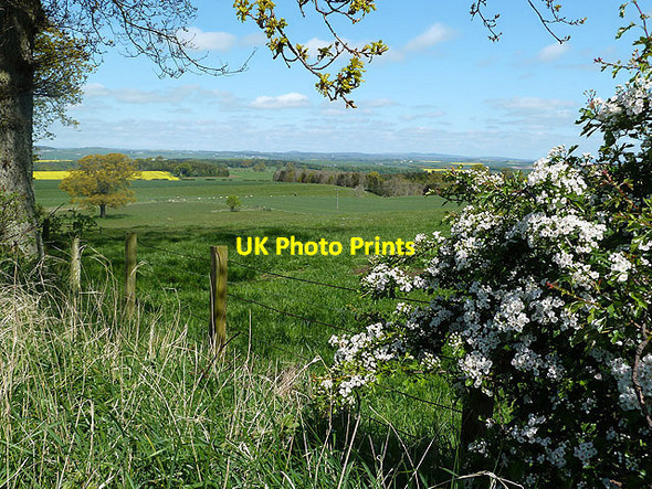 Photo 6"x4" Farmland at Windywalls Easter Softlaw c2012