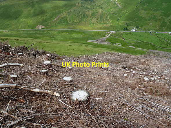 Photo 6"x4" A clear fell area on Herman Law Herman Law c2012