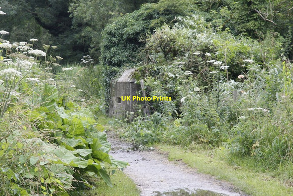 Photo 6"x4" Pillbox by the path Thatcham c2012