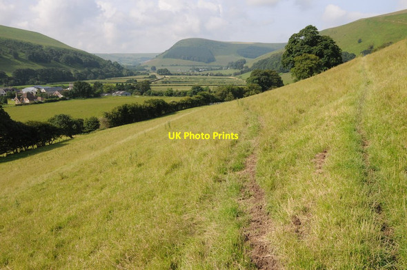 Photo 6"x4" Bridleway above Haine's Mill New Radnor c2012