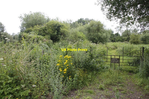 Photo 6"x4" Gate to the lake Thatcham c2012