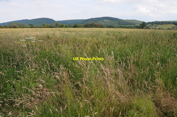 Photo 6"x4" Arable land near Walton Old Radnor c2012