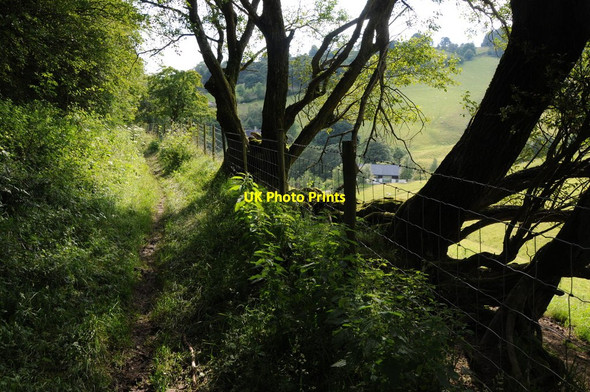 Photo 6"x4" Bridleway above New Radnor New Radnor c2012