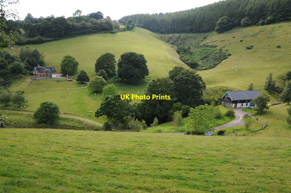 Photo 6"x4" Mutton Dingle New Radnor c2012