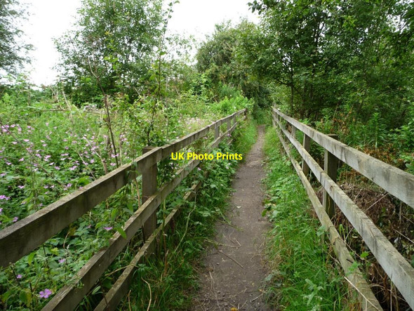 Photo 6"x4" Stockheld Lane crossing the former railway line Arthursdale c2012