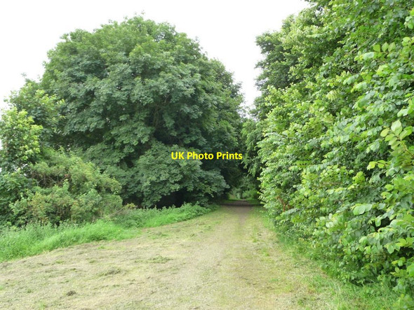 Photo 6"x4" Path along the former Leeds - Wetherby railway line Pendas Fields c2012
