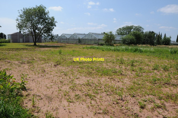 Photo 6"x4" Glasshouses near Shenstone Brockencote c2012