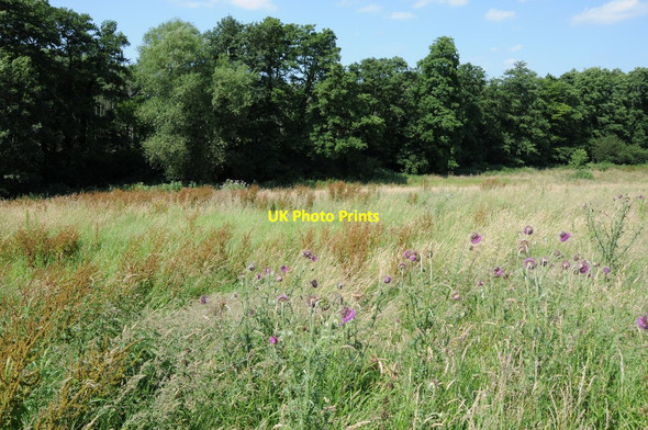 Photo 6"x4" Rough grazing near Stone Mustow Green c2012