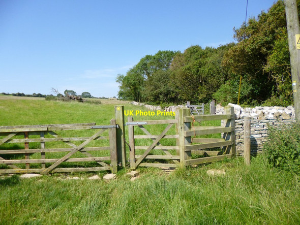 Photo 6"x4" Langton Matravers, gates Langton Matravers c2012