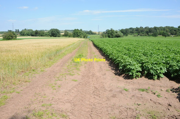 Photo 6"x4" Track and arable field Barnettbrook c2012