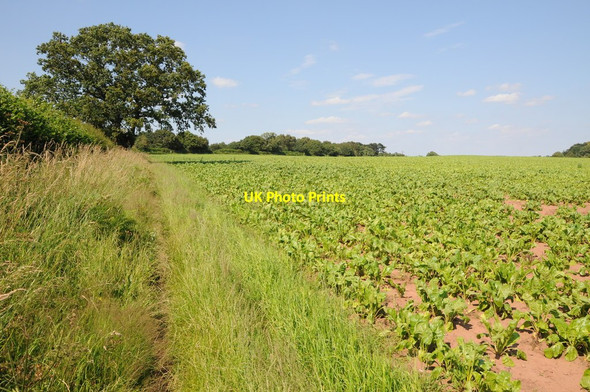 Photo 6"x4" Bridleway and field headland Harvington\/SO8774 c2012