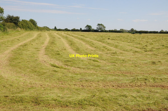 Photo 6"x4" Mown grass Harvington\/SO8774 c2012