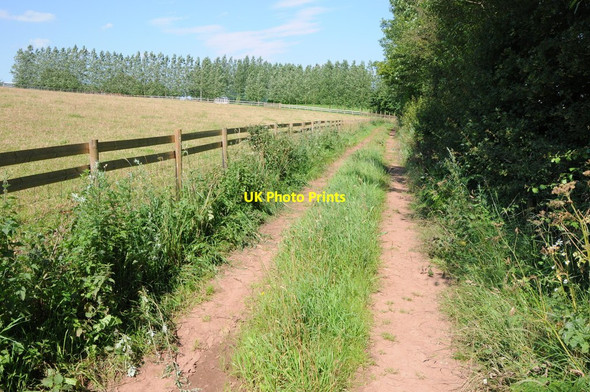 Photo 6"x4" Track near Neild House Mustow Green c2012