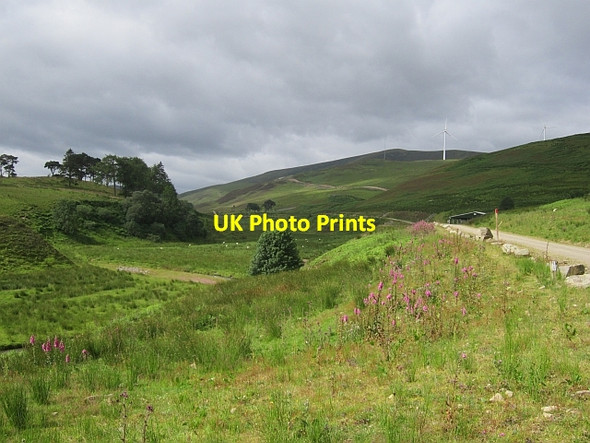 Photo 6"x4" The glen behind Kingledoors Kingledores c2012