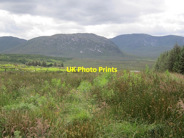 Photo 6"x4" Altnaguinea Townland Commeen c2012