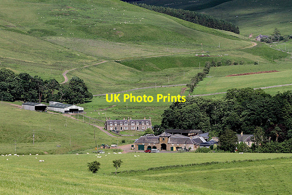 Photo 6"x4" Attonburn Farm Mowhaugh c2012