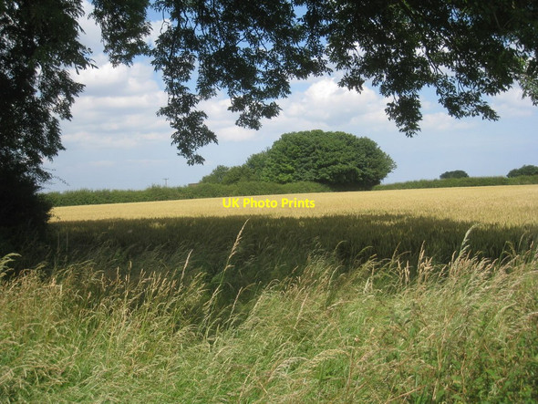 Photo 6"x4" High in the Wolds Kelstern c2012