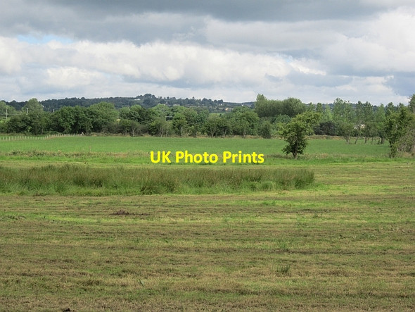 Photo 6"x4" Harvested silage Killen\/H2480 c2012