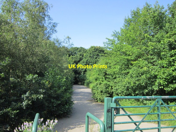 Photo 6"x4" A path entering Middleton Woods Beeston Park Side c2012