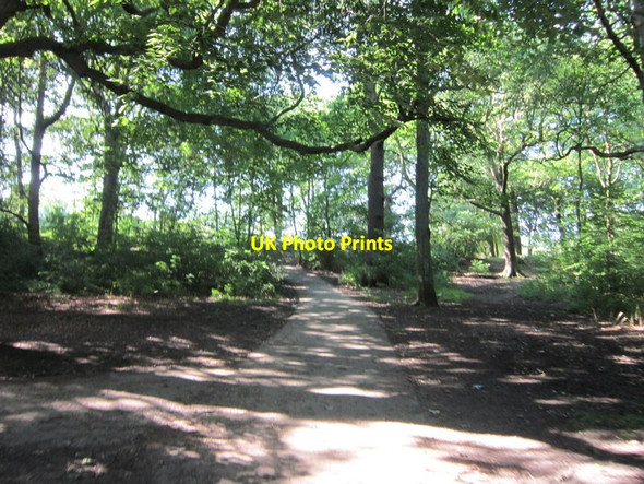 Photo 6"x4" A path leading to Middleton park Beeston Park Side c2012