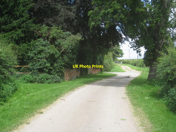 Photo 6"x4" Chequers Lane, Dunham on Trent Dunham on Trent c2012