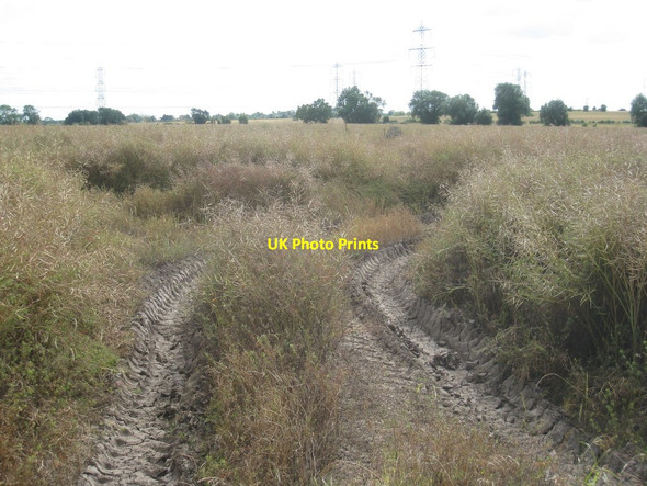 Photo 6"x4" Impassable footpath near Skegby High Marnham c2012