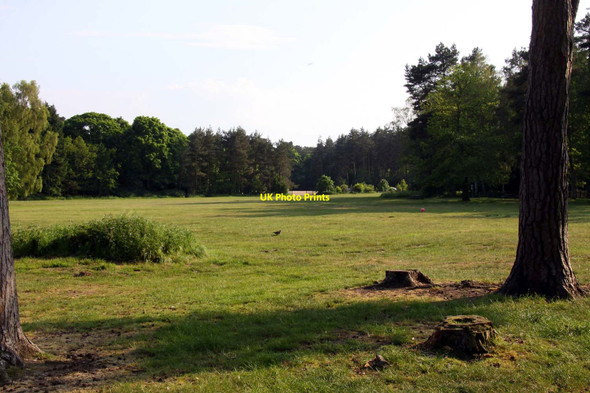 Photo 6"x4" An open picnic area near Sandringham House Sandringham c2012