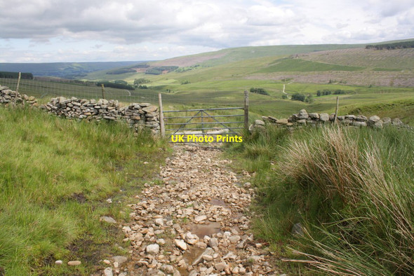 Photo 6"x4" Gate across track from Stone House to Widdale Stone House\/SD7785 c2012