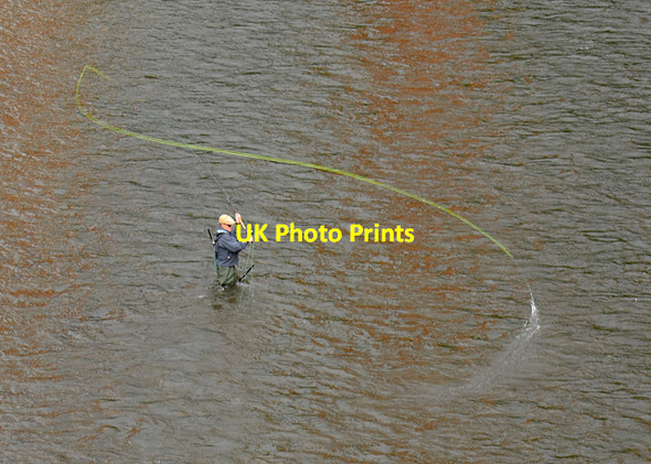 Photo 6"x4" Casting for salmon in Bridge Pool Newstead\/NT5634 c2012