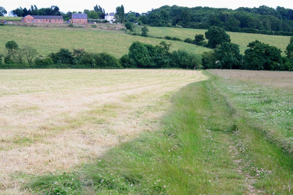 Photo 6"x4" The Midshires Way Heads Toward Constitution Hill Dale Moor c2008
