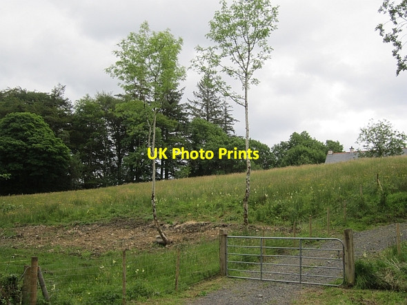 Photo 6"x4" Field, Aghnablaney Pettigoe c2012
