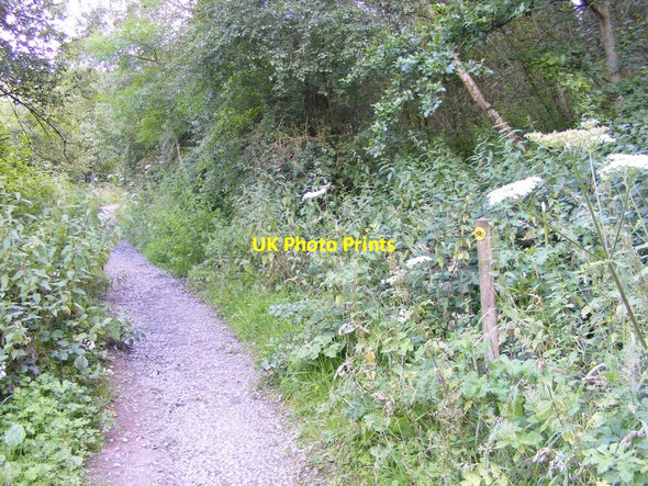 Photo 6"x4" Baggeridge Bike Track Sedgley c2012