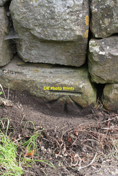 Photo 6"x4" Benchmark on barn in Starbotton Starbotton c2012
