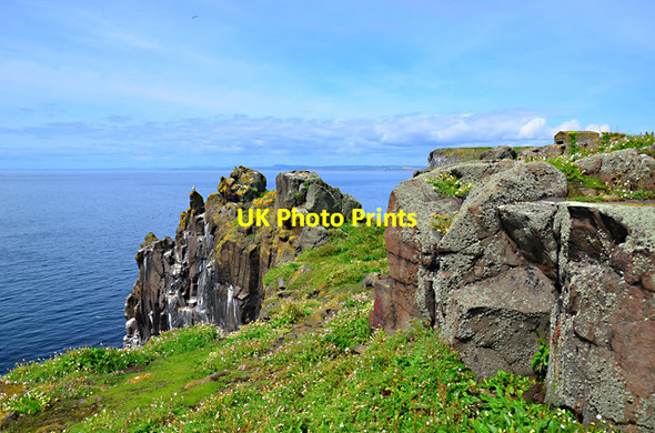 Photo 6"x4" Cliff top north of Pilgrim's Haven Maiden Hair c2012