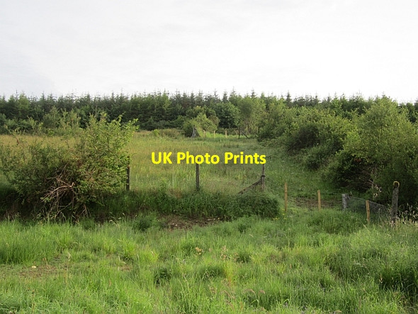 Photo 6"x4" Small fields near Dromahair Dromahair c2012