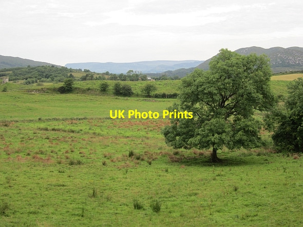 Photo 6"x4" Sligo grassland Ballintogher c2012