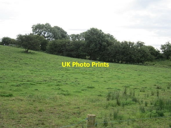 Photo 6"x4" Grassland, Ballygawley Ballygawley c2012